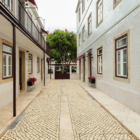 Modern Design Beautiful Outdoorsy Apartment Lisbon